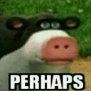 perhaps