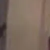 pp