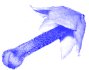 bluewaffle Discord Emoji | NSFW Emojis R US 18+