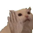 SCkittymeowPAT