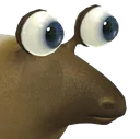 eyesborb