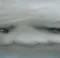 wideporosad wideporosad
