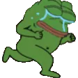 pepeRunCry