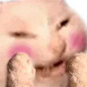 BlushCat