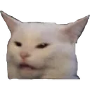 screaming_cat_lady_cat