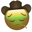 cowboysick