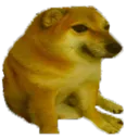 cheems