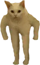 extendedsir