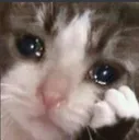 Catastrophe_SadSigh