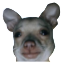 saddog