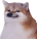 youshib youshib