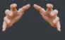 grab