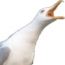 exhalee Discord emoji