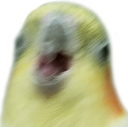 hexo Discord emoji