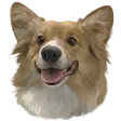 uhnEin