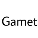 Game