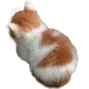 angy0 angy0