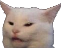 tee_gato Discord emoji