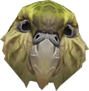 kakapo kakapo