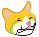 cat_weep cat_weep