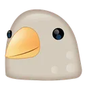 bird