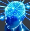 Bigbrain