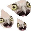 owlsweat