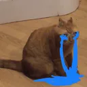 cry