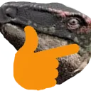 stegthonk