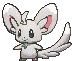 minccino
