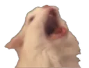 aaaaaaaa
