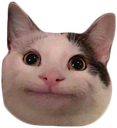 :oki: Discord Emote