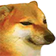 Cheems