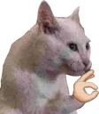okcat