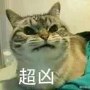 catchaoxiong Discord Emoji
