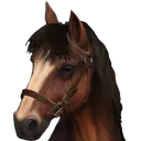 Roach Roach