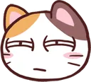 kittynarroweyes kittynarroweyes