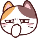 kitycough