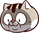 catstare