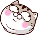 catshyblush catshyblush