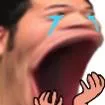 PogguSad Discord Emoji