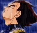 vegetarainzoom