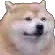 postthisdog2
