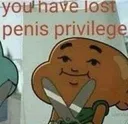 youhavelostpenisprivilege