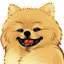 happi happi