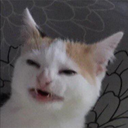 :huh: Discord Emote