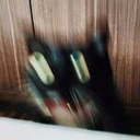 catahhh Discord emoji