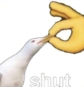 shutit Discord emoji
