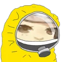 CDCShew