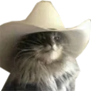 meowdy